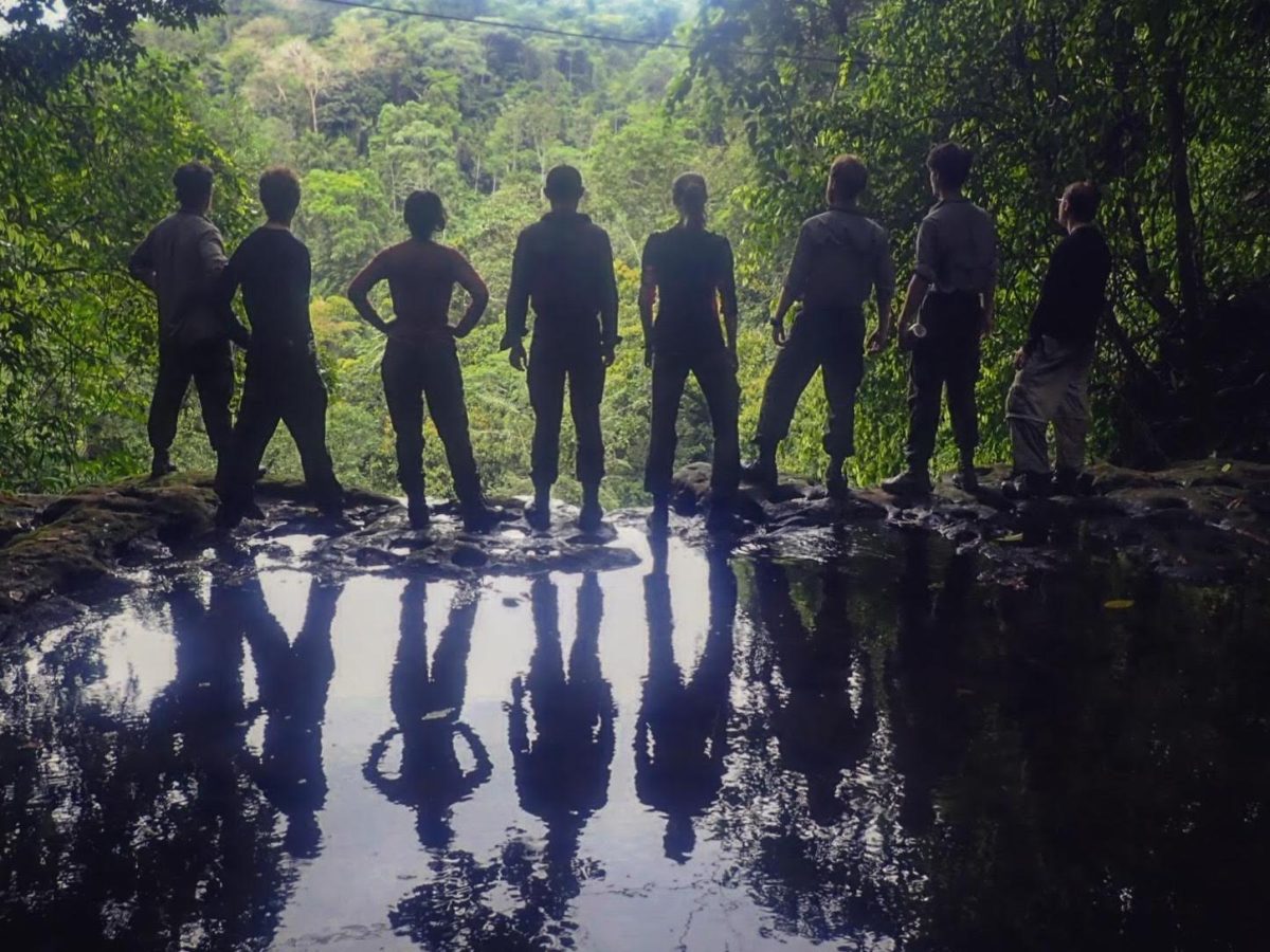 Silhouetted Group jungle