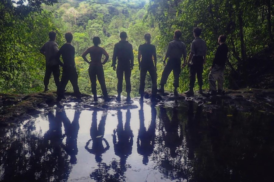 Silhouetted Group jungle