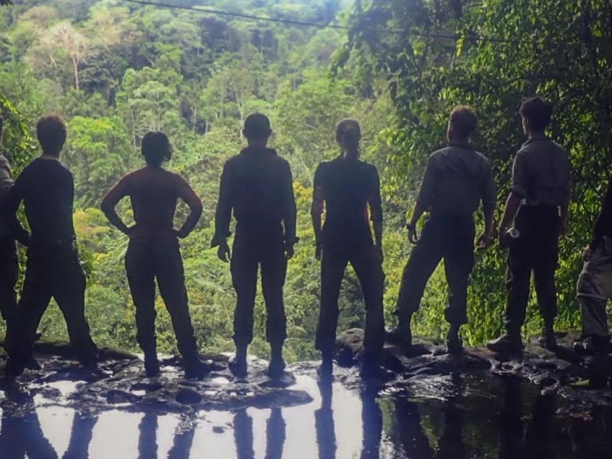 Silhouetted Group jungle