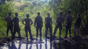 Silhouetted Group jungle