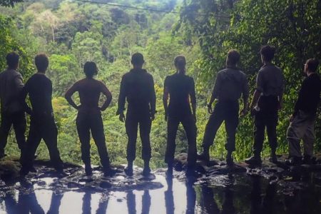 Silhouetted Group jungle