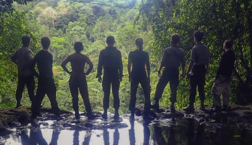 Silhouetted Group jungle