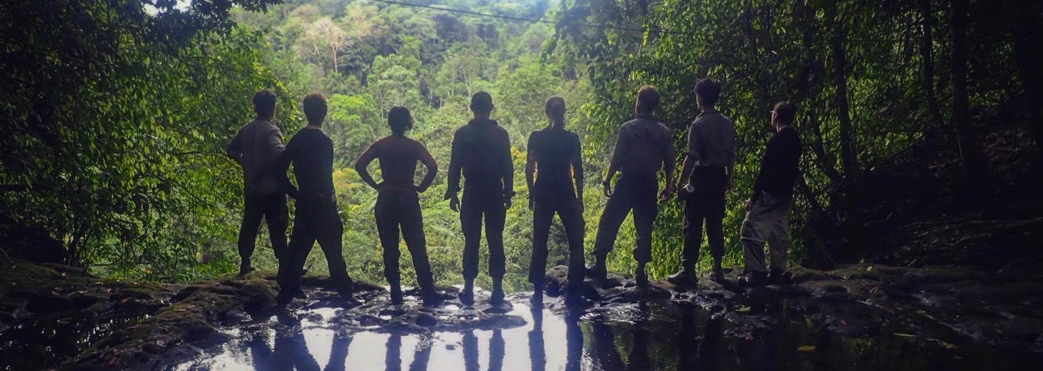Silhouetted Group jungle