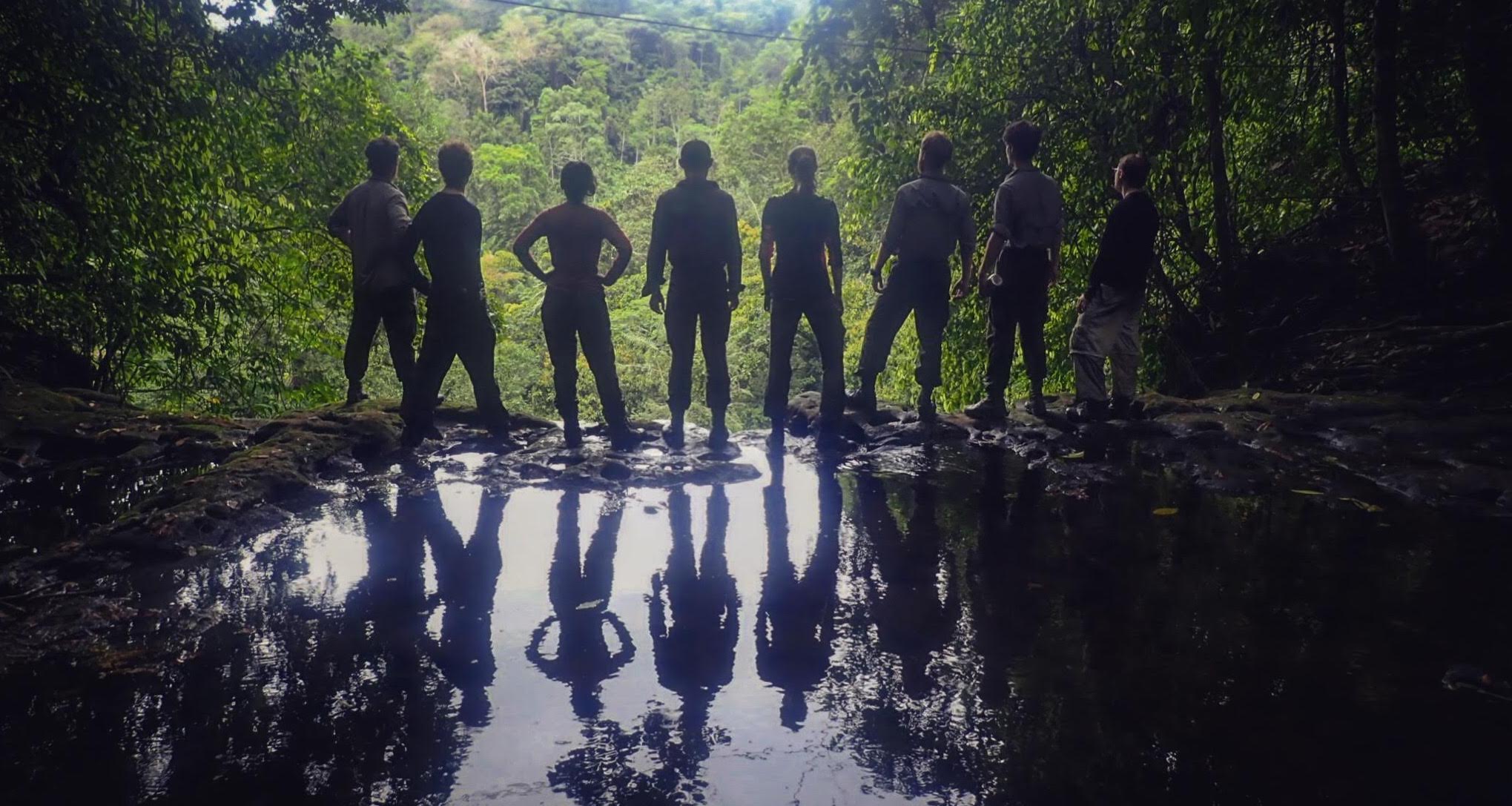 Silhouetted Group jungle