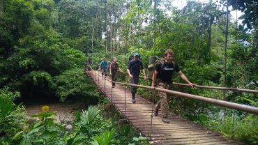 Why Jungle Exploration Should Be on Your Bucket List