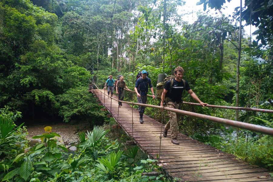 group on jungle bridge