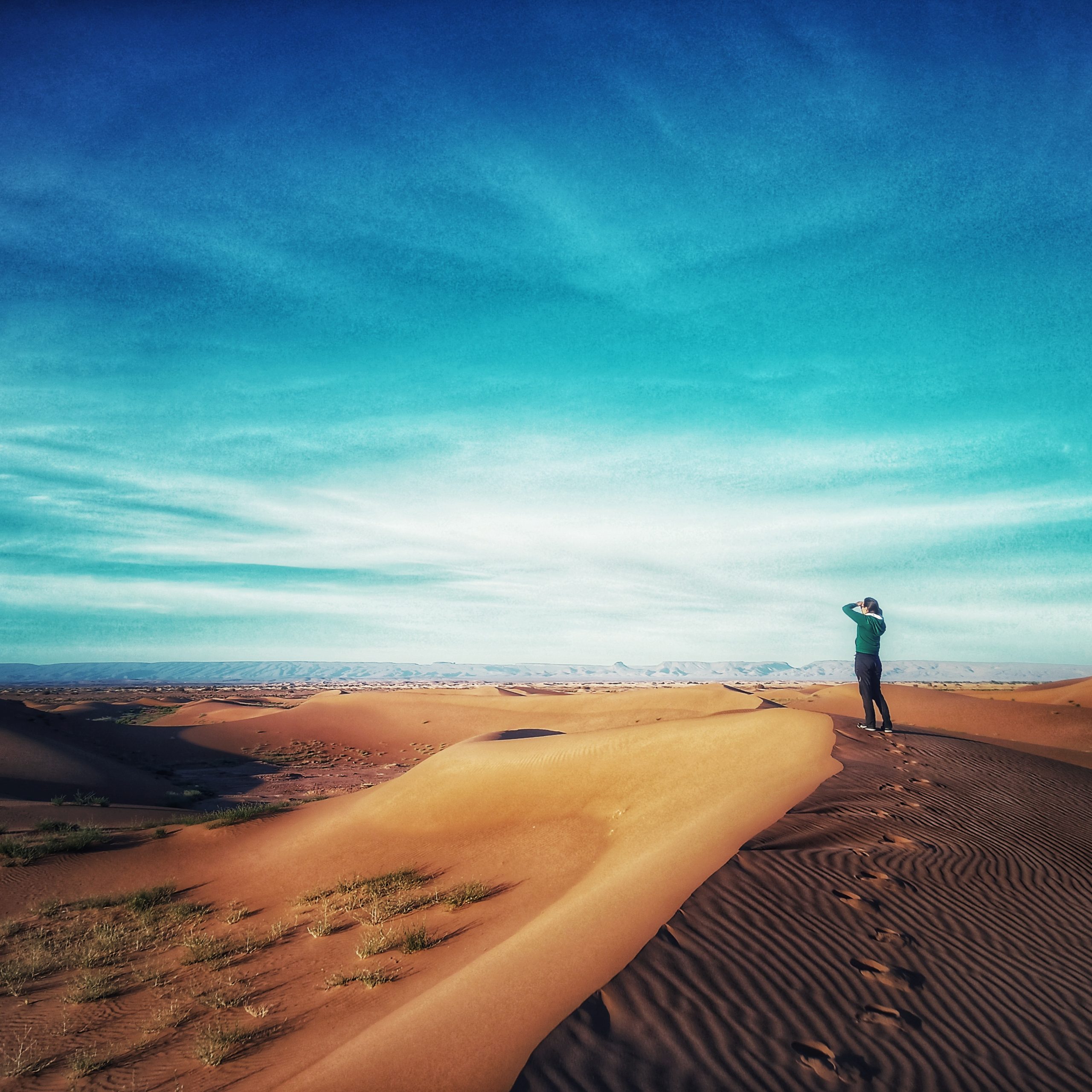 Wild Globe Morocco expedition