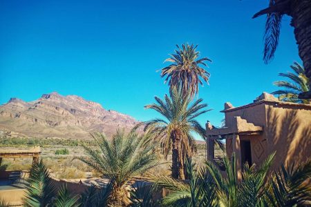 Jungle to Desert: The Surprising Similarities of Extreme Places