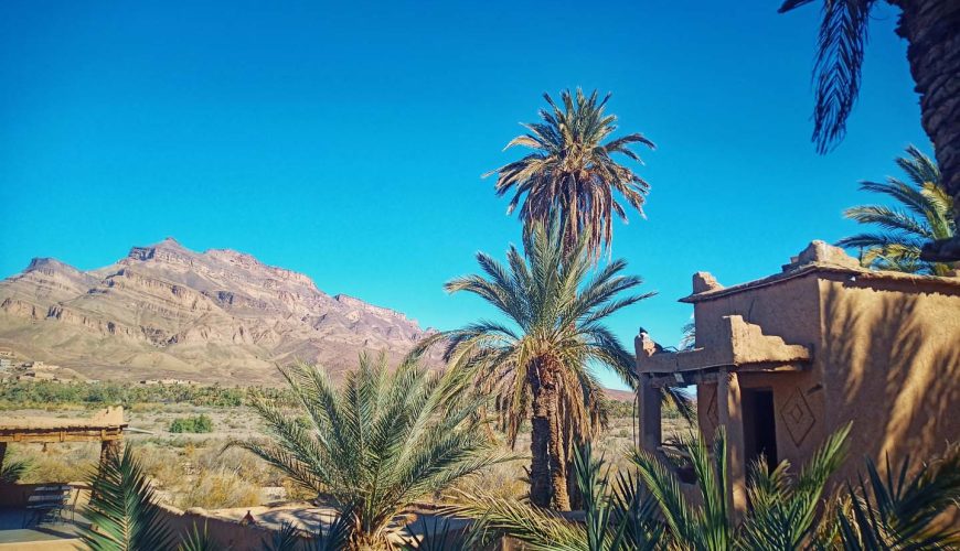 Jungle to Desert: The Surprising Similarities of Extreme Places