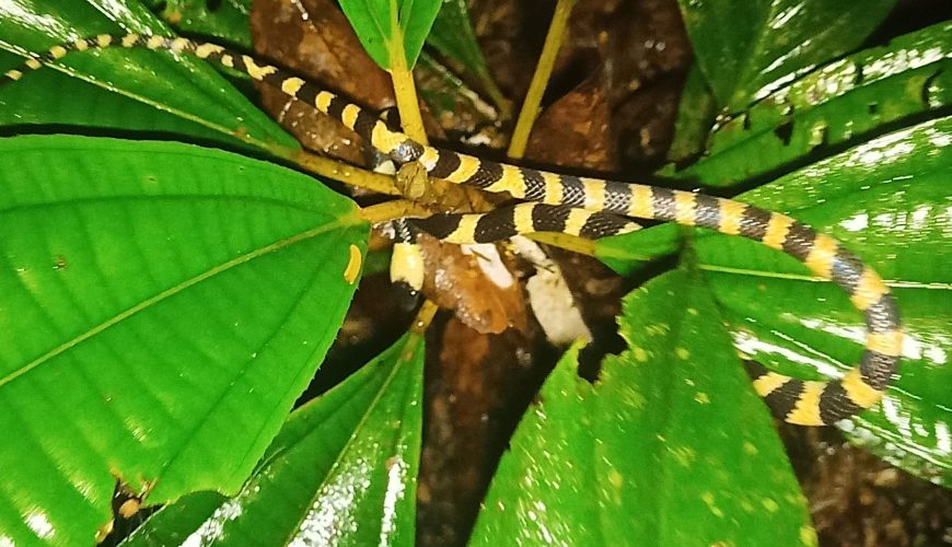 Don’t Let Fear Stop You from Living Your Wildest Adventure