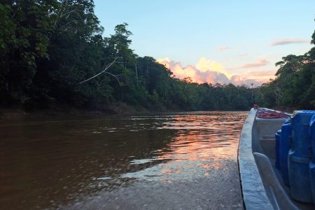Amazon Expedition