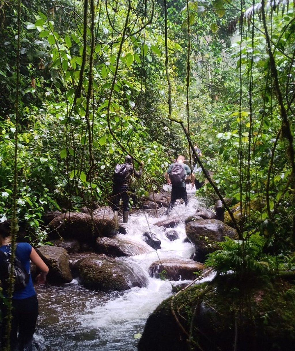 Instagram post from wild_globe_expeditions. This post is in position 14.