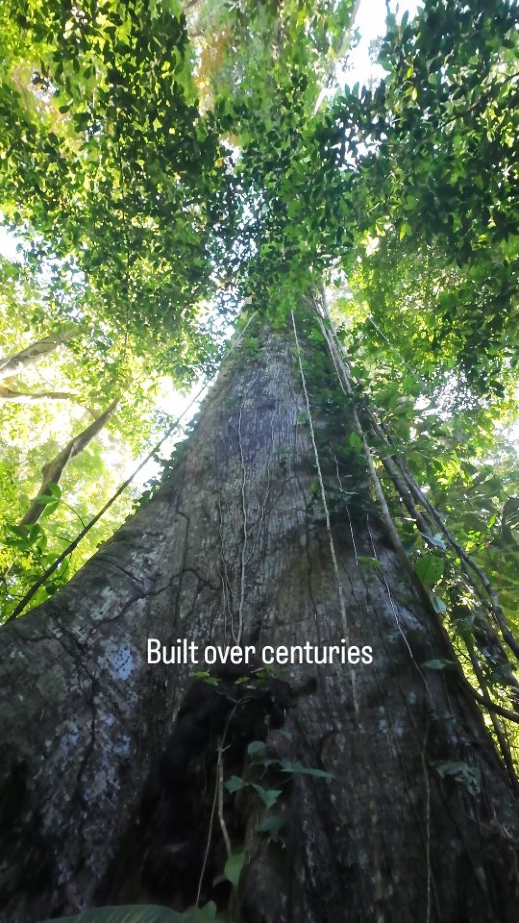 Instagram post from wild_globe_expeditions. This post is in position 1.