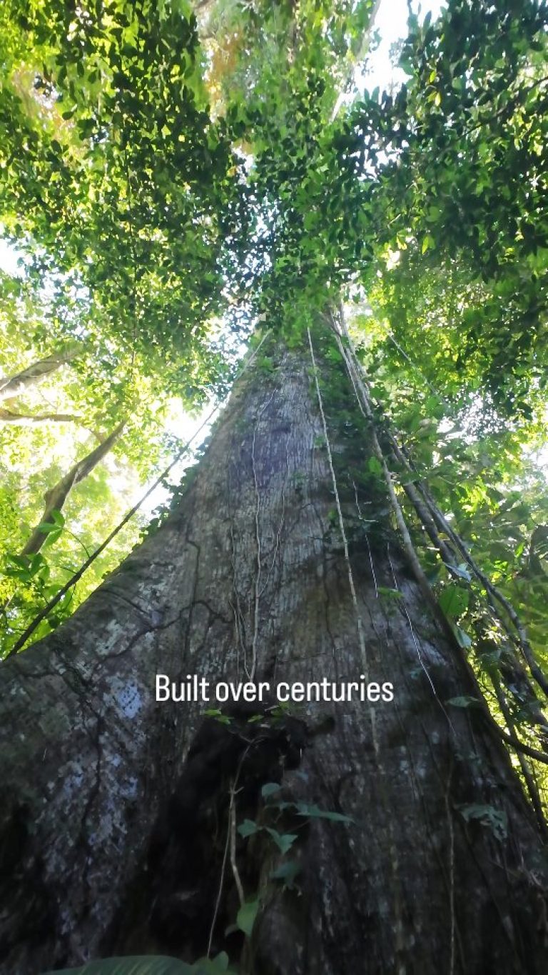 Instagram post from wild_globe_expeditions. This post is in position 2.