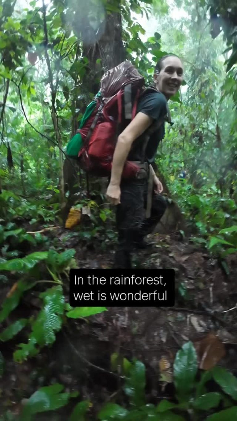 Instagram post from wild_globe_expeditions. This post is in position 16.