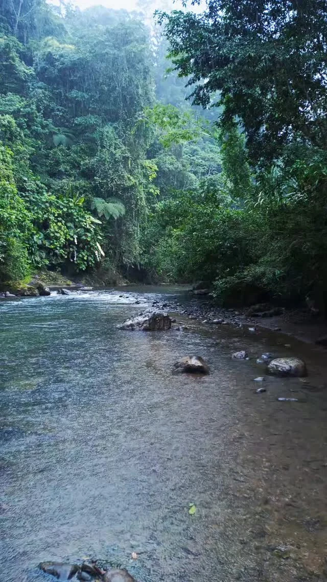Instagram post from wild_globe_expeditions. This post is in position 12.