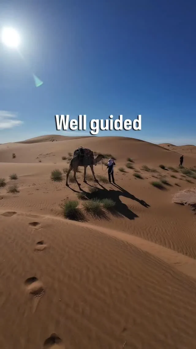 Instagram post from wild_globe_expeditions. This post is in position 0.