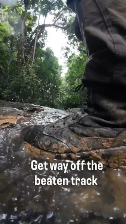 Instagram post from wild_globe_expeditions. This post is in position 0.