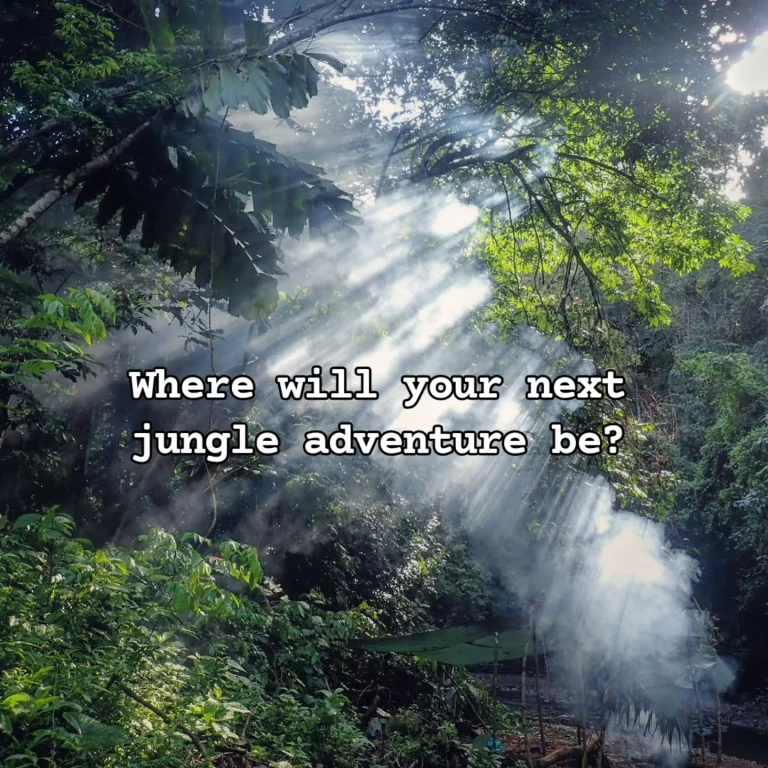 Instagram post from wild_globe_expeditions. This post is in position 0.