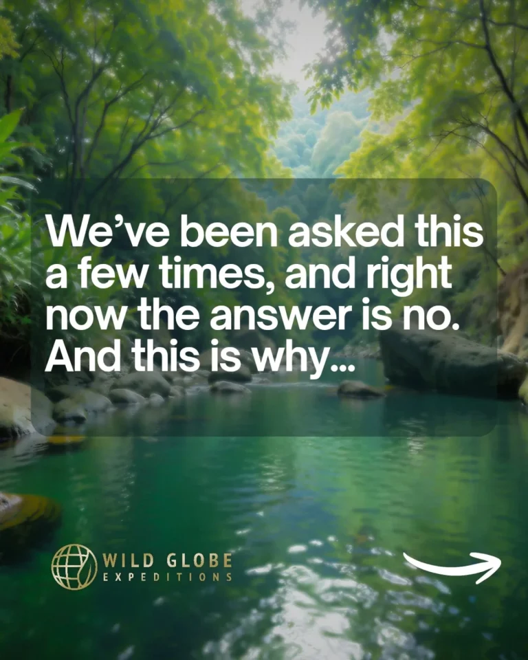 Instagram post from wild_globe_expeditions. This post is in position 1.