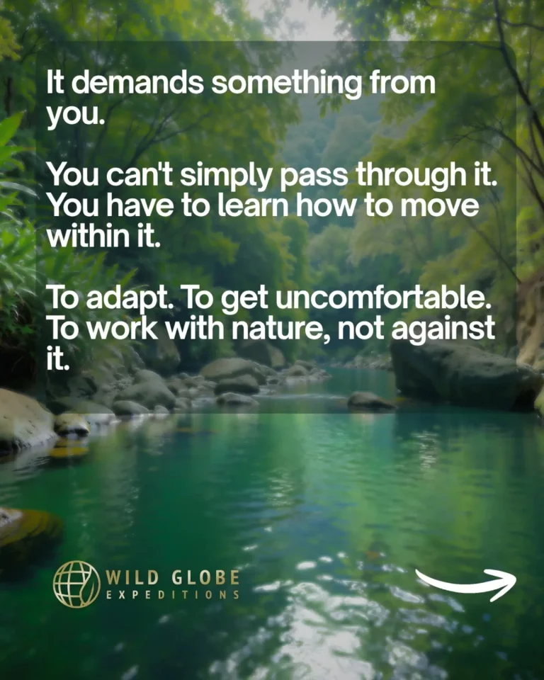 Instagram post from wild_globe_expeditions. This post is in position 4.