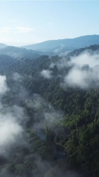 Instagram post from wild_globe_expeditions. This post is in position 2.