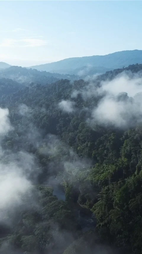 Instagram post from wild_globe_expeditions. This post is in position 1.