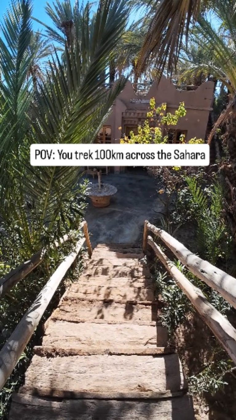 Instagram post from wild_globe_expeditions. This post is in position 7.