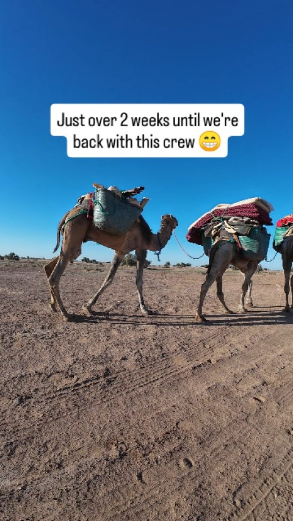 Instagram post from wild_globe_expeditions. This post is in position 10.