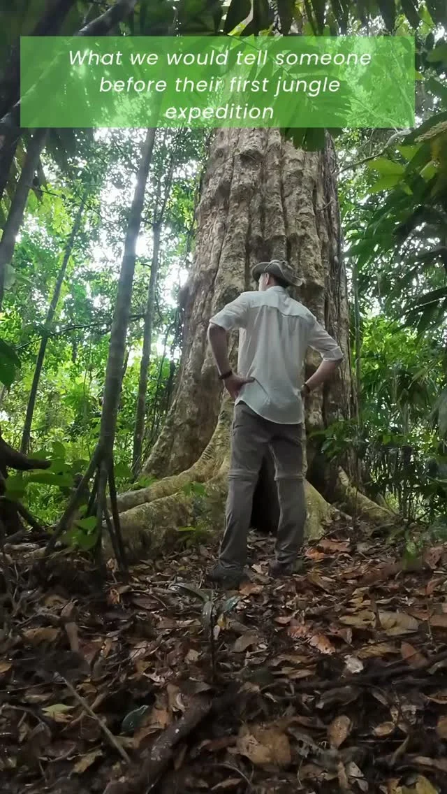 Instagram post from wild_globe_expeditions. This post is in position 0.