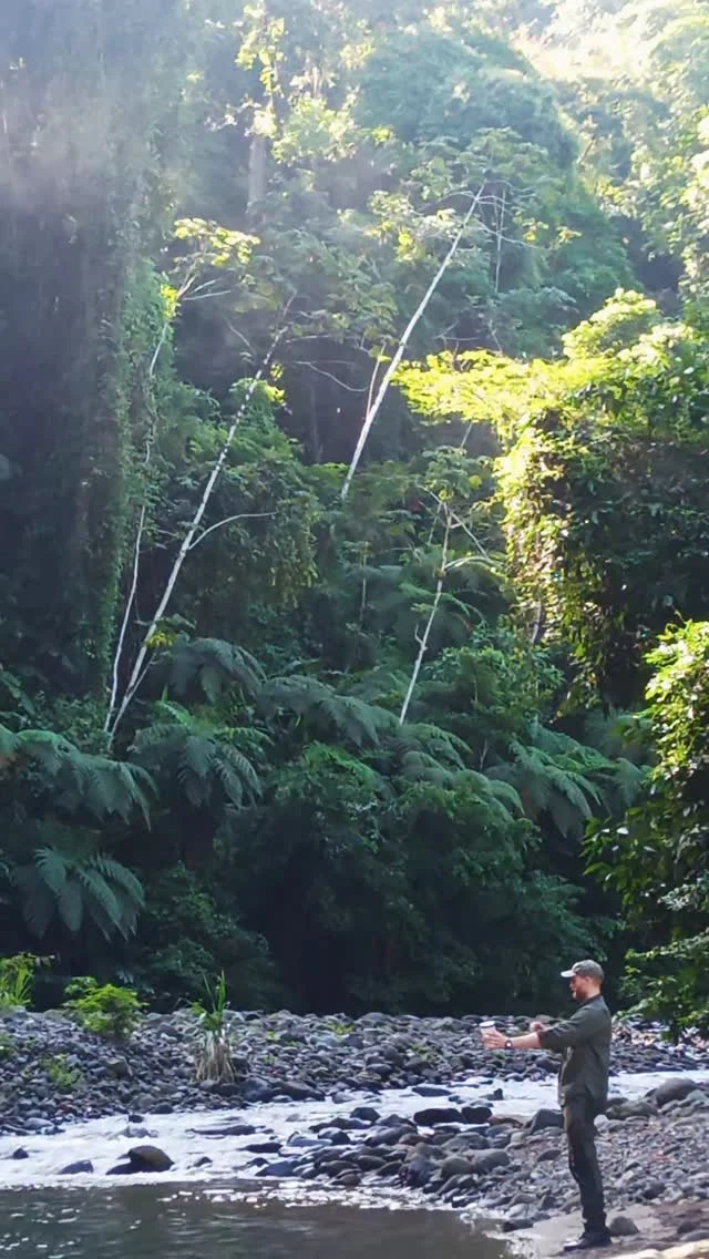 Instagram post from wild_globe_expeditions. This post is in position 0.