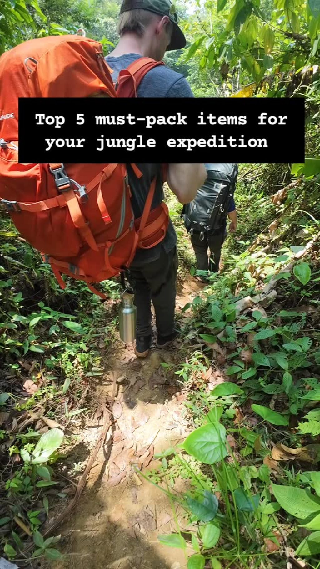Instagram post from wild_globe_expeditions. This post is in position 8.