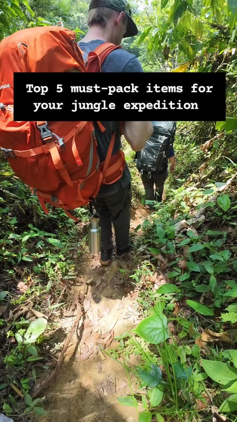 Instagram post from wild_globe_expeditions. This post is in position 9.