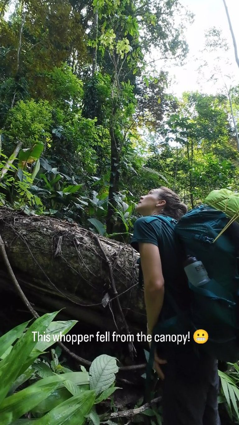 Instagram post from wild_globe_expeditions. This post is in position 10.