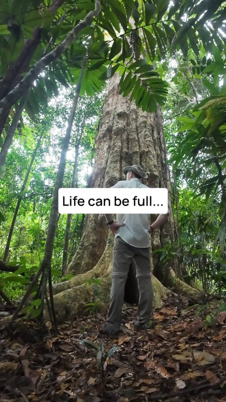 Instagram post from wild_globe_expeditions. This post is in position 1.