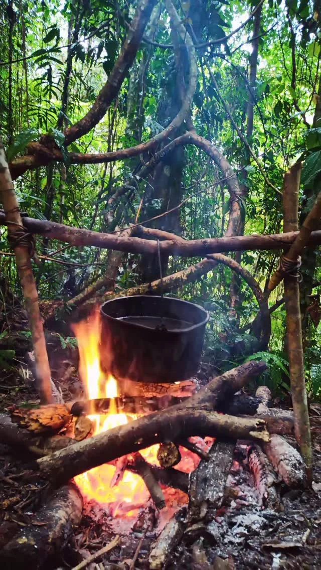 Instagram post from wild_globe_expeditions. This post is in position 0.