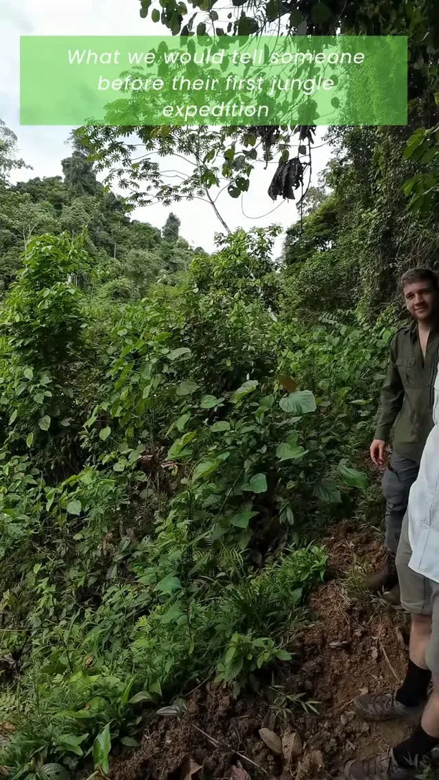 Instagram post from wild_globe_expeditions. This post is in position 1.