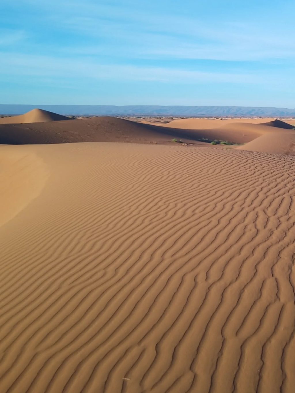 Instagram post from wild_globe_expeditions. This post is in position 2.