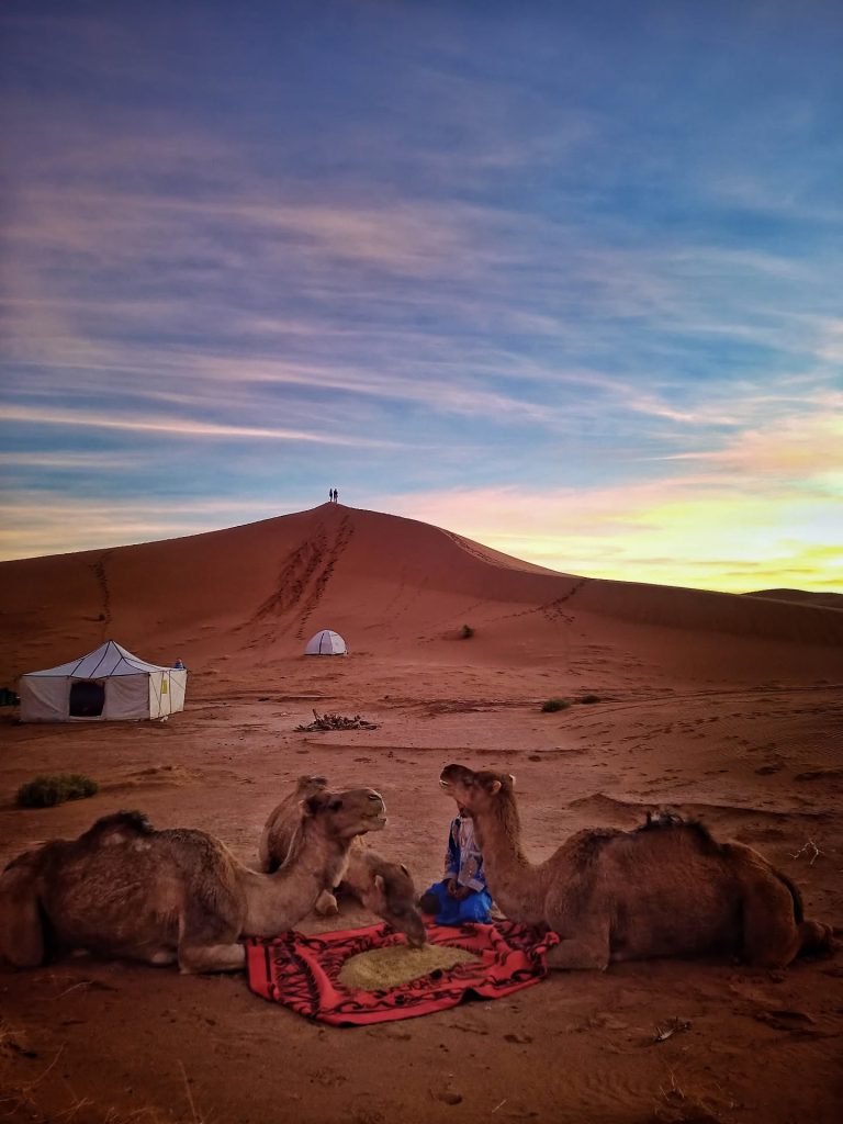 Instagram post from wild_globe_expeditions. This post is in position 2.