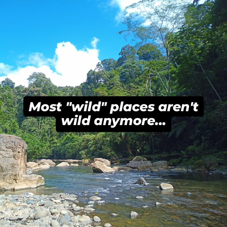 Instagram post from wild_globe_expeditions. This post is in position 5.