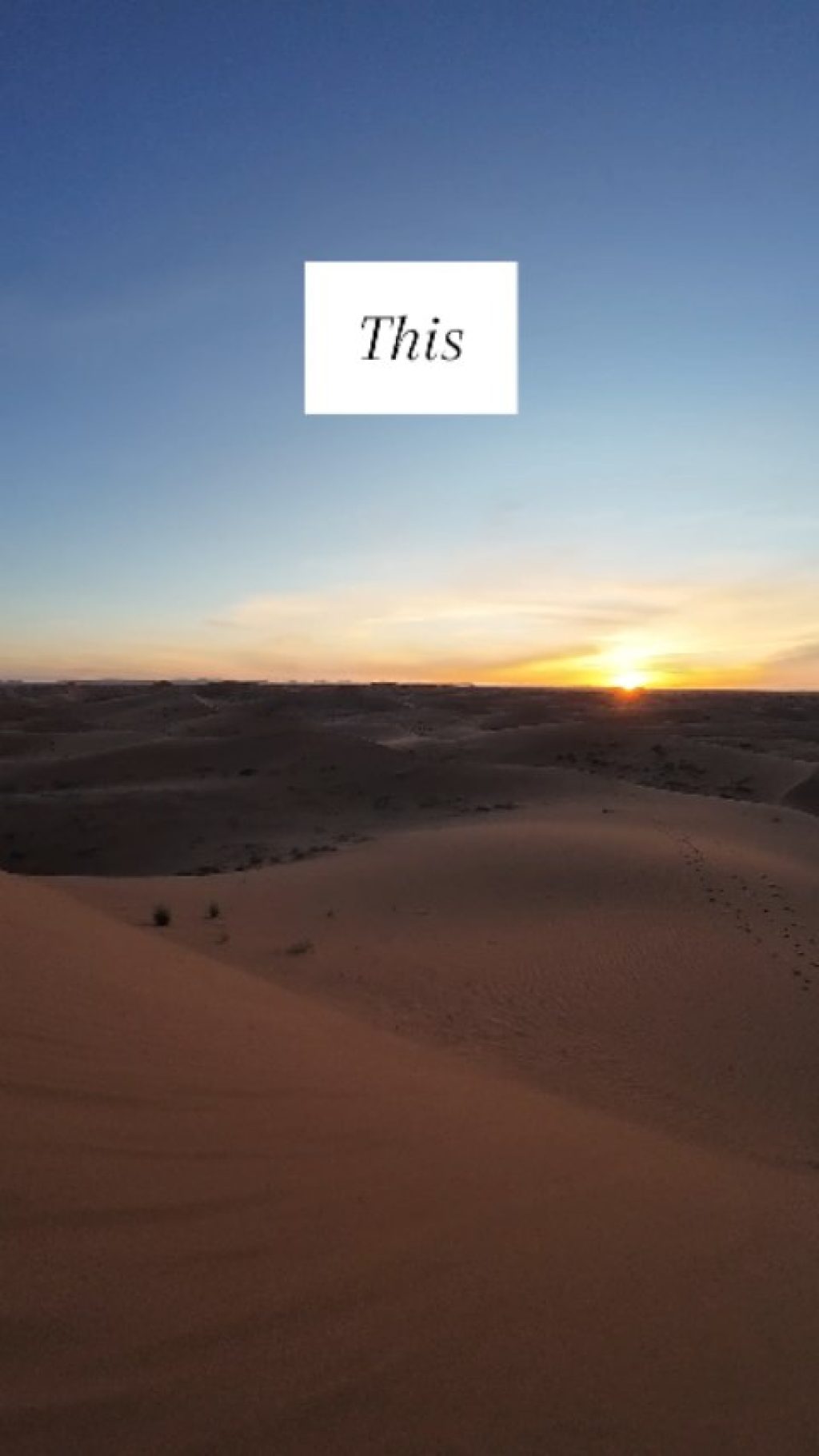 Instagram post from wild_globe_expeditions. This post is in position 8.