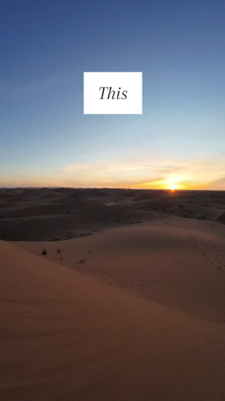 Instagram post from wild_globe_expeditions. This post is in position 9.