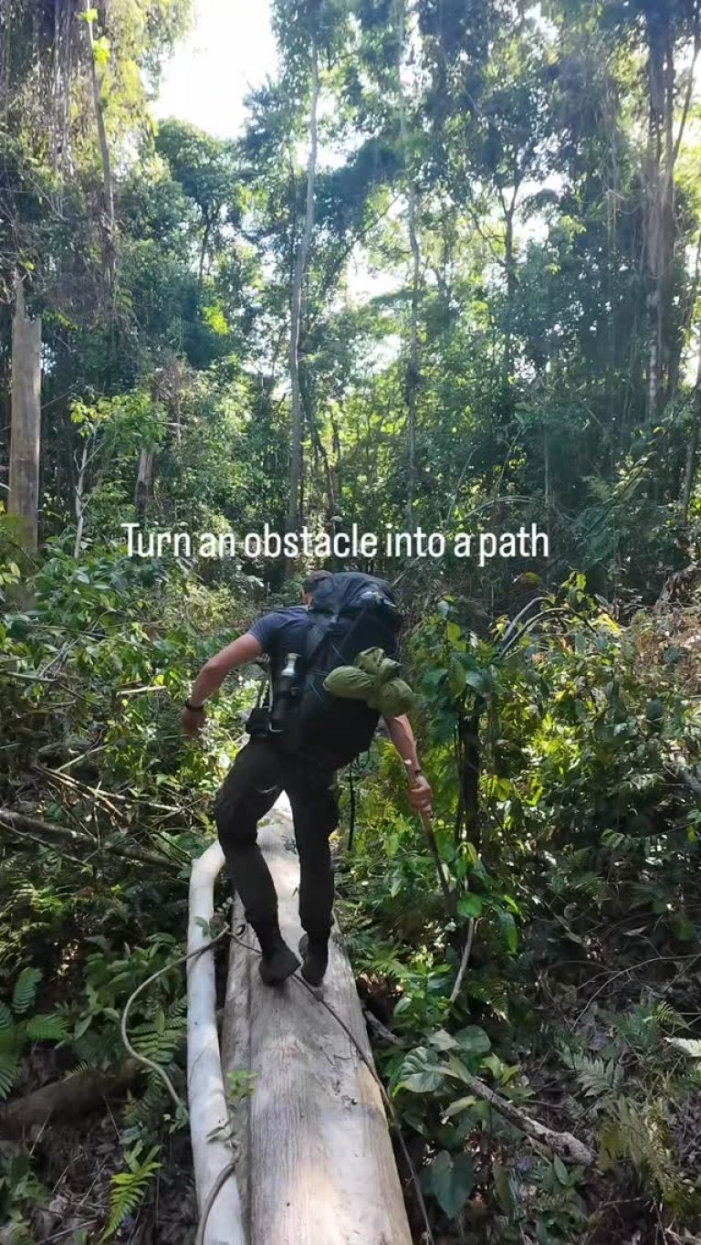 Instagram post from wild_globe_expeditions. This post is in position 6.