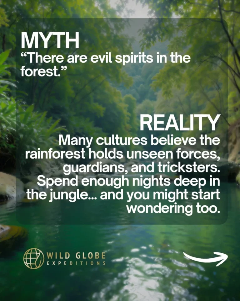 Instagram post from wild_globe_expeditions. This post is in position 8.