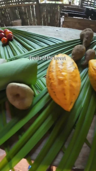 Instagram post from wild_globe_expeditions. This post is in position 1.