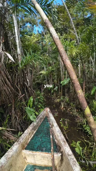 Instagram post from wild_globe_expeditions. This post is in position 1.