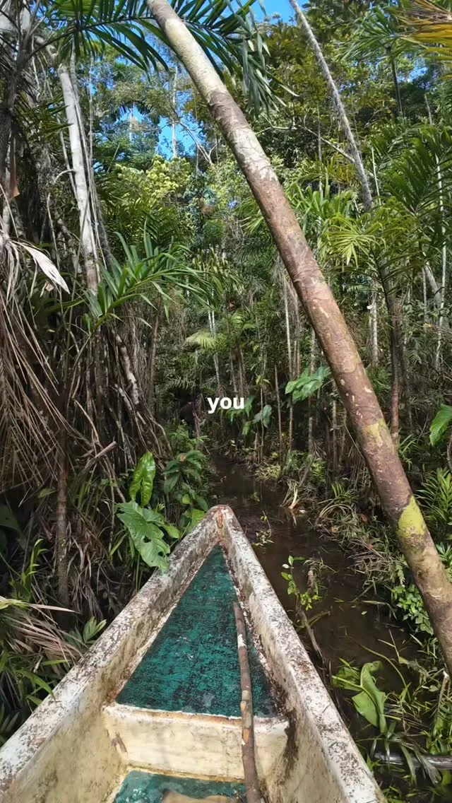 Instagram post from wild_globe_expeditions. This post is in position 0.