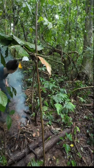 Instagram post from wild_globe_expeditions. This post is in position 13.