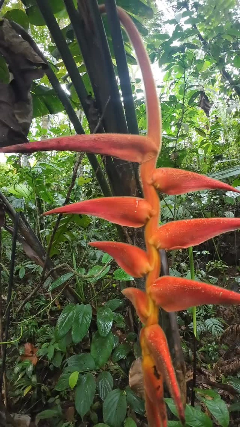 Instagram post from wild_globe_expeditions. This post is in position 14.