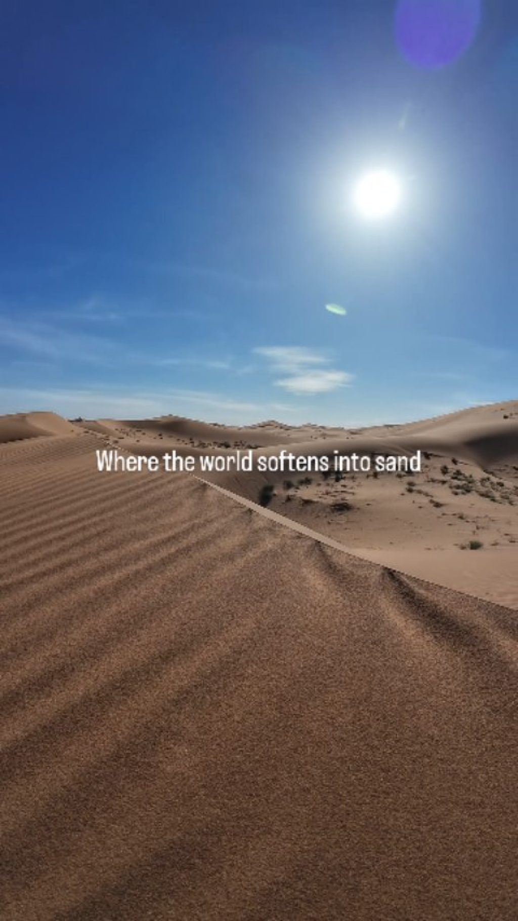 Instagram post from wild_globe_expeditions. This post is in position 2.